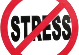 “Os três segredos para lidarmos com stress”