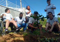 Rotary Clube de Campinas faz plantio de árvores frutíferas na APAE Valinhos