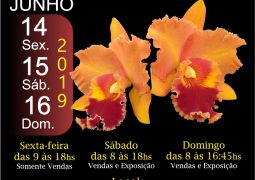 Valinhos recebe a 13ª Exposição Nacional de Orquídeas