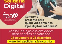 FEAV lança a 1ª Feira Digital com  produtos de artesanato para o Natal