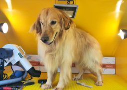Projeto Apaixonados por Saúde celebra  parceria com a Dog Maniacs