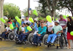 APAE precisa de voluntários para mega evento