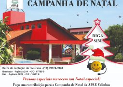 APAE está em campanha para adquirir cesta de Natal para os assistidos