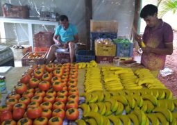 Frutas em cerâmica de Aldemir Cândido uma das atrações na Festa do Figo