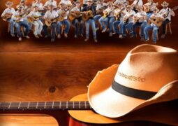 FEAV realiza 2ª Feira do Dia das Mães com atrações musicais e mais de 20 expositores<br>Orquestra de Violas se apresenta no sábado, às 14 horas