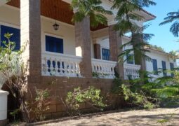 FEAV promove partilha de doações e reforça atendimento às organizações sociais