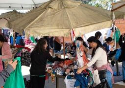 Bazar do Patru arrecada produtos que podem transformar vidas